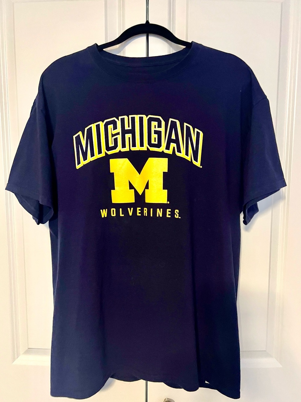 Pro Edge Navy Michigan Wolverines Graphic Short Sleeve Tee
